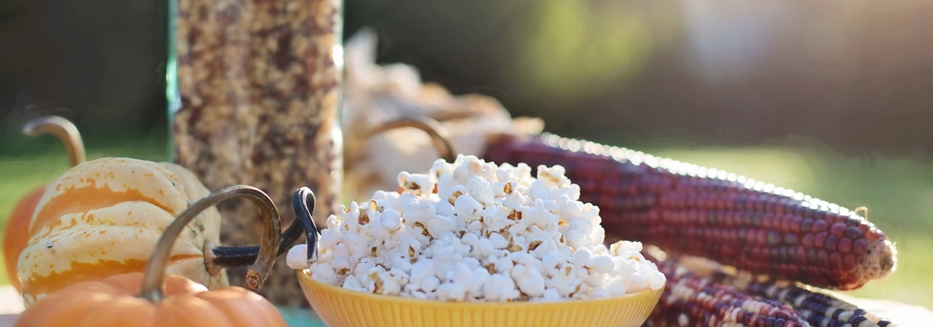 Popcorn merenda